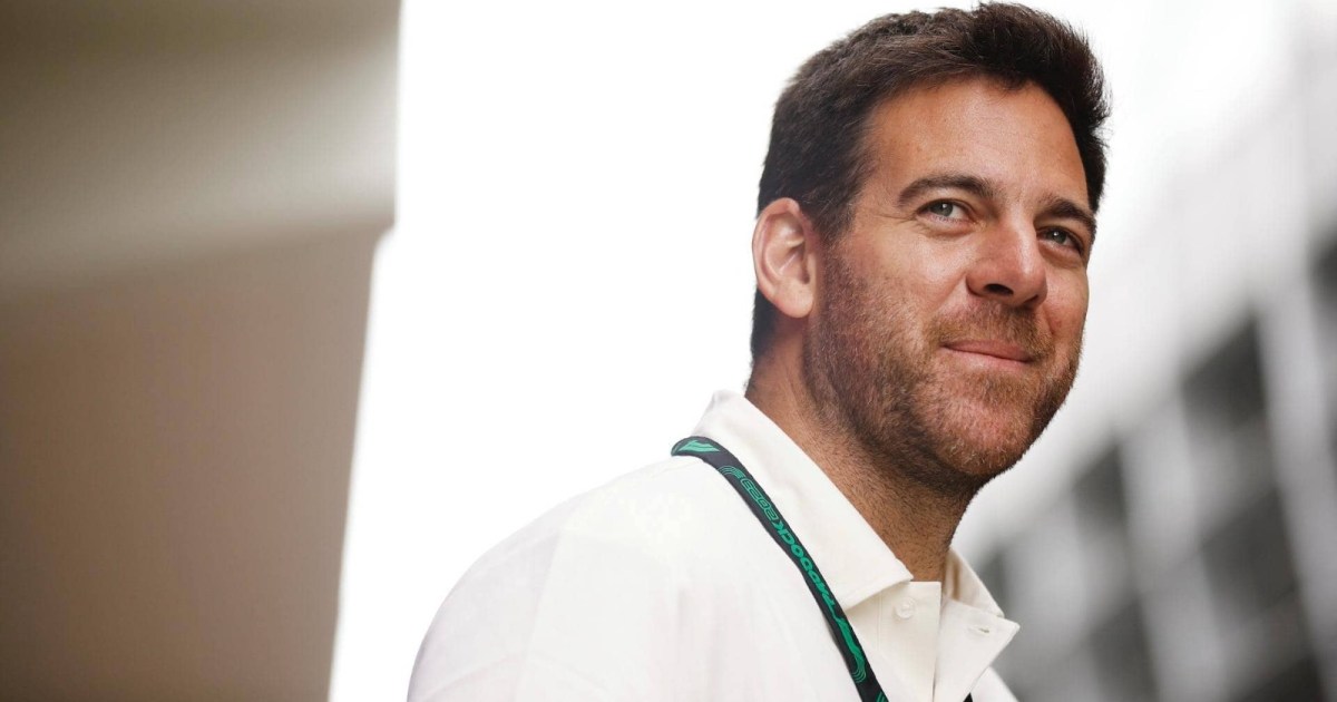 Juan Martín Del Potro, nominado nuevamente al Salón de la Fama del Tenis