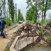 Imagen de Tirar basura en canales y desagües de Cipolletti puede costar casi $10 millones y otras sanciones