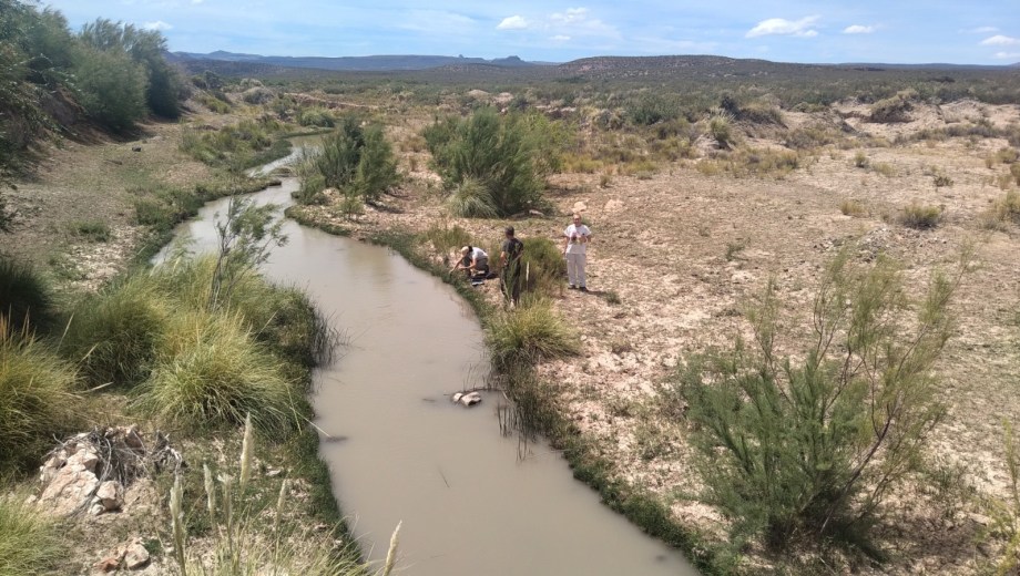 Se tomaron 54 muestras de agua. Foto: gentileza