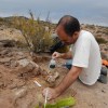 Imagen de Un hallazgo paleontológico revela la diversidad de los dinosaurios carnívoros del norte neuquino