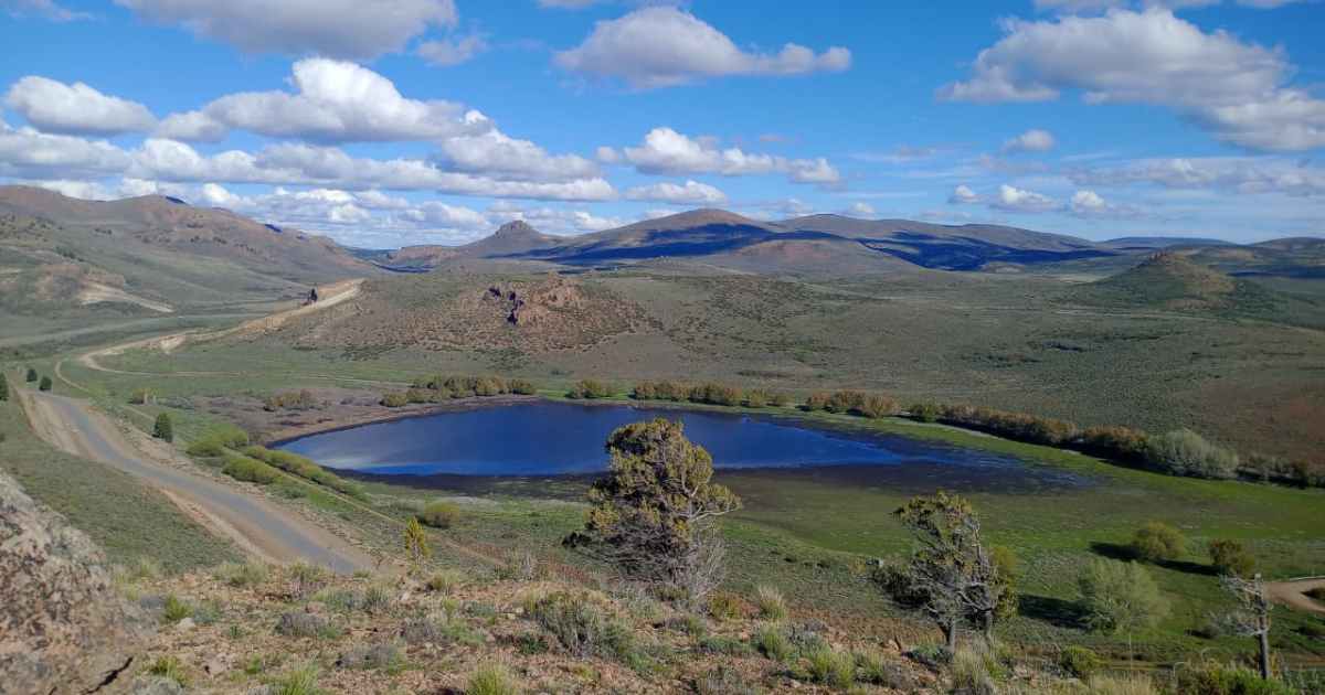 La laguna Los Juncos recupera agua, pero las aves ya no aparecen