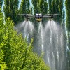 Imagen de Desafíos del bajo volumen en la fruticultura del Alto Valle: ¿Qué cambia cuando aplicamos con drones?