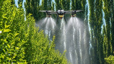 Desafíos del bajo volumen en la fruticultura del Alto Valle: ¿Qué cambia cuando aplicamos con drones?