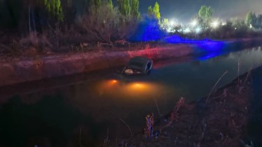 Un auto chocó contra un jabalí sobre la Ruta 151 y terminó en el canal: advierten por la presencia de estos mamíferos