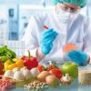 Imagen de Alimentación del futuro: los tres proyectos distinguidos por combinar innovación, tecnología y nutrición saludable
