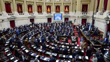 El Gobierno cedió y Diputados aprobó la ley de discapacidad: qué cambia