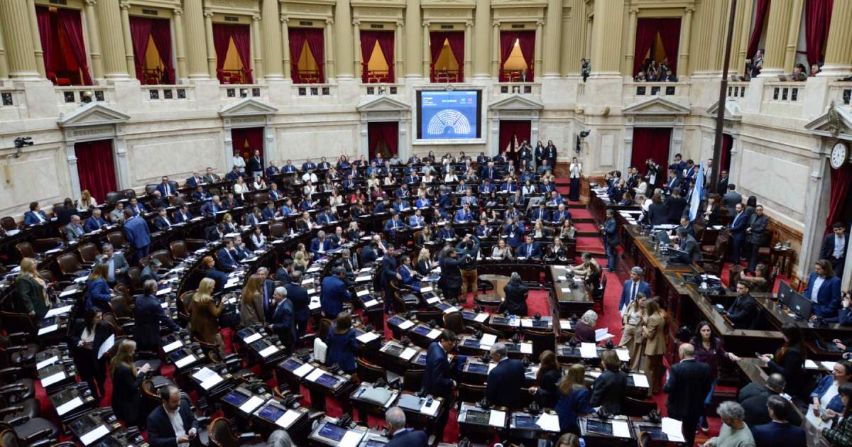 La Cámara de Diputados aprobó la nueva ley de discapacidad y se envía al Senado