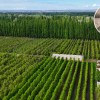 Imagen de "Chaco o el sur": la elección de un inmigrante italiano que dio origen a una firma con más de 1.000 hectáreas de frutales