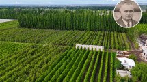 Imagen de Empezaron con una huerta y una casa de adobe en la Patagonia y hoy producen 30 millones de kilos de peras y manzanas al año