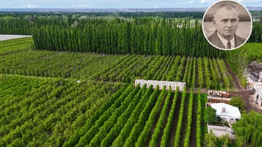 Empezaron con una huerta y una casa de adobe en la Patagonia y hoy producen 30 millones de kilos de peras y manzanas al año