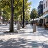 Imagen de Cipolletti busca diseñar un nuevo bolardo urbano y habrá premios de hasta $2 millones: cómo participar