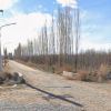 Imagen de Murió una árbitra en un choque contra un poste de luz en Fernández Oro