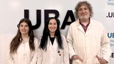 El peligro de la automedicación: científicos del Conicet descubren cómo las bacterias mutan para burlar a los antibióticos