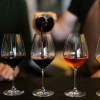 Imagen de Vino a la Montaña en San Martín de los Andes: degustaciones, bodegas y brindis, 10 y 11 de octubre