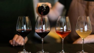 Vino a la Montaña en San Martín de los Andes: degustaciones, bodegas y brindis, 10 y 11 de octubre