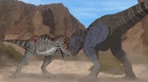 Imagen de Detrás de los cuernos: el hallazgo sobre los «comportamientos sexuales» de los dinosaurios en la Patagonia