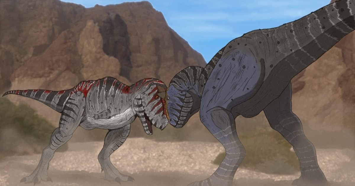 Investigadores descubren nuevos usos de los cuernos en dinosaurios patagónicos