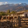 Imagen de El increíble cambio de un campo de 80.000 hectáreas en San Juan: de estancia productiva a parque nacional