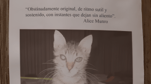«El gato perdido»: el deslumbrante libro de Mary Gaitskill sobre el amor, la culpa y las ausencias