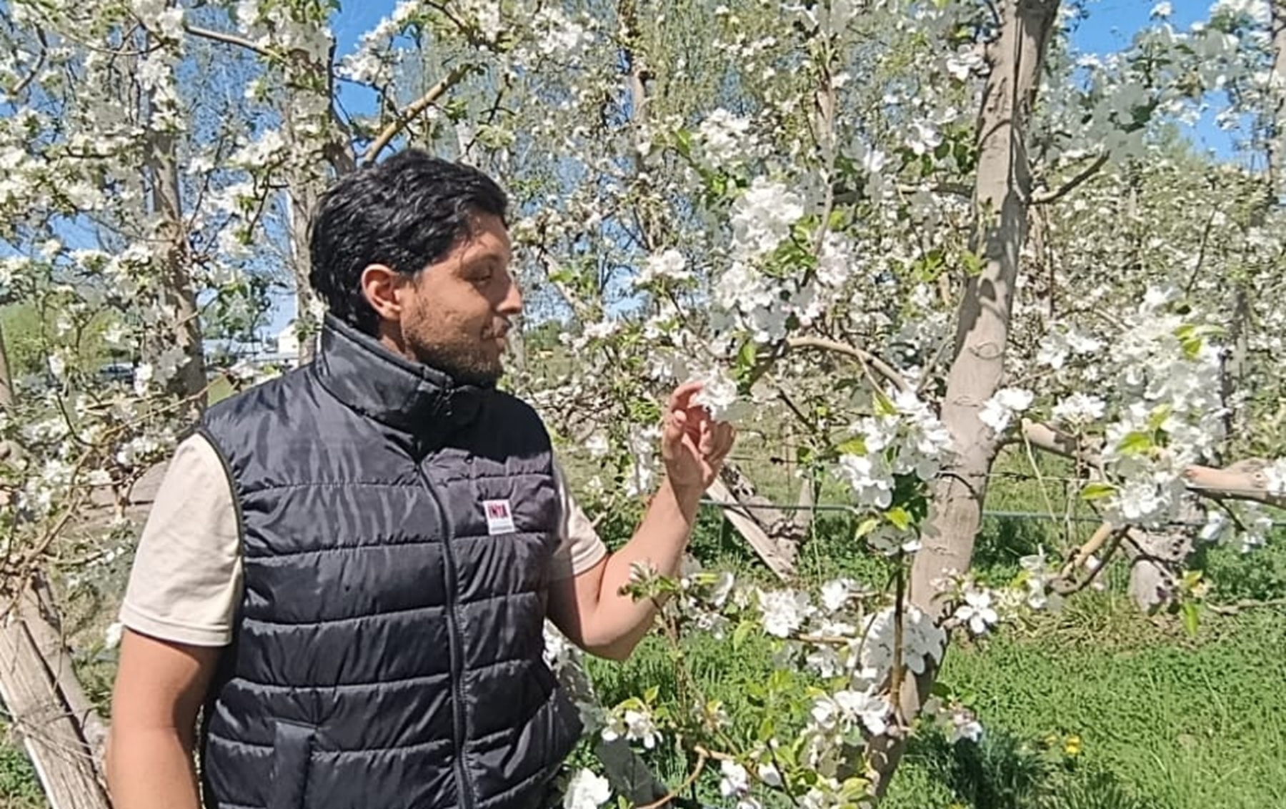 Una herramienta para prevenir daños por heladas en fruticultura