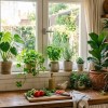 Imagen de Las tres plantas ideales para tener en la cocina: resisten el vapor y la humedad