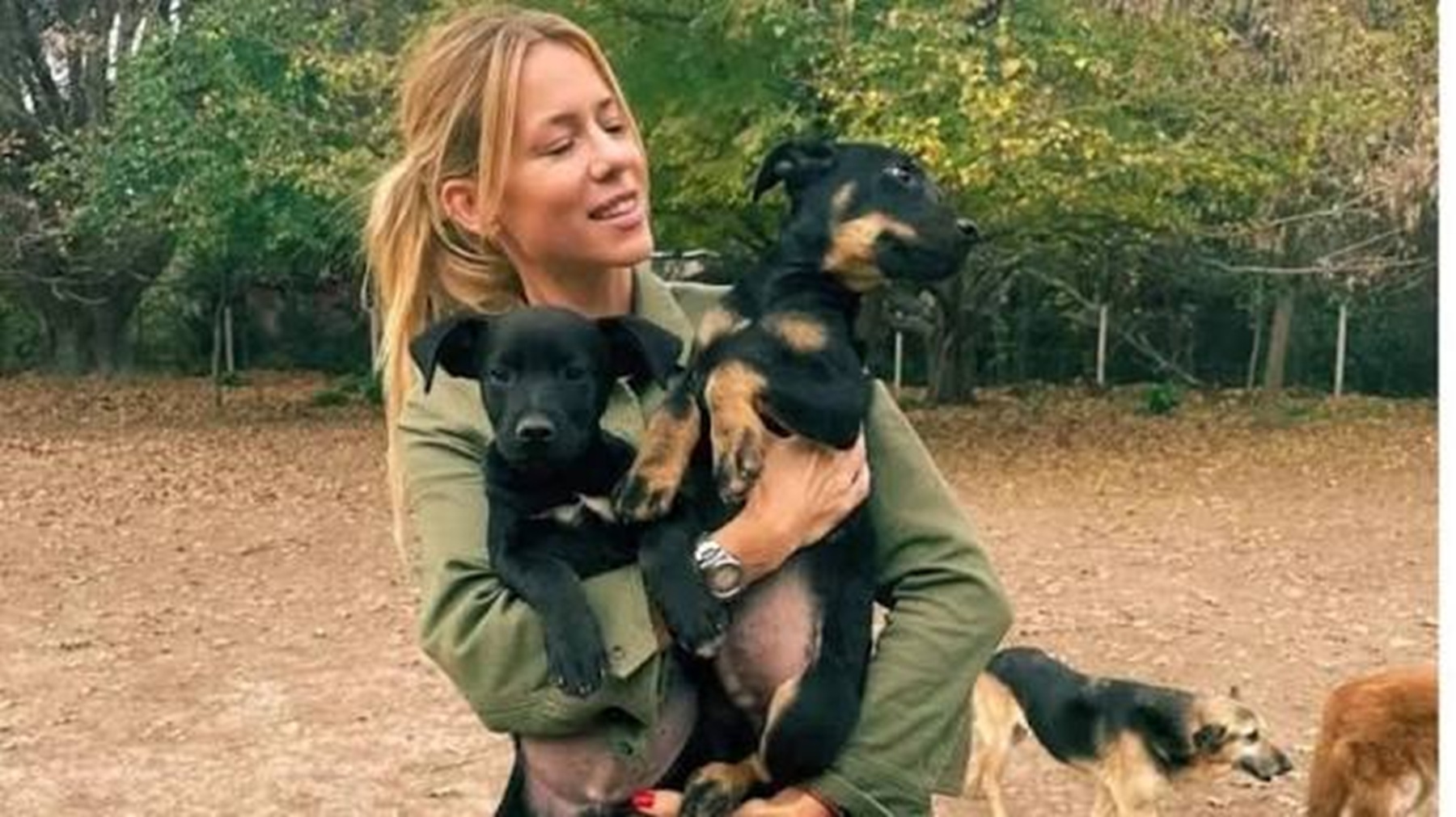 Nicole Neumann refuerza la seguridad de sus animales tras amenazas de un vecino