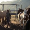 Imagen de A qué se dedica Jakob von Plessen en Neuquén: el negocio de cabalgatas que creó tras sus años de safaris en África