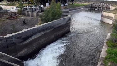 Río Negro lanzó un plan para saldar deudas de riego: ¿quiénes pueden acceder?