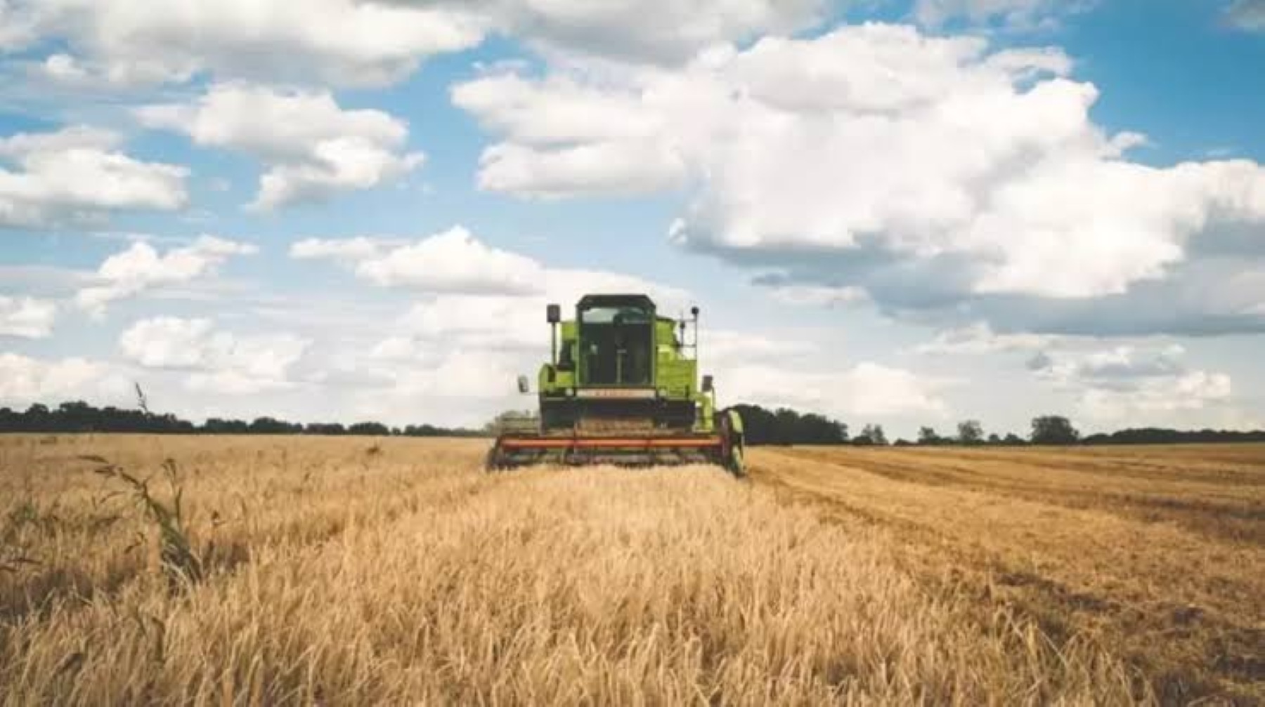 El agro argentino exportó casi 90 millones de toneladas en lo que va de 2026 y superó el máximo histórico de 2021