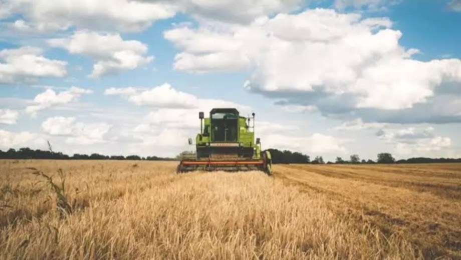 Según el último informe oficial de la Bolsa de Comercio de Rosario (BCR), las exportaciones agroindustriales alcanzaron las 88,9 millones de toneladas (Mt). 