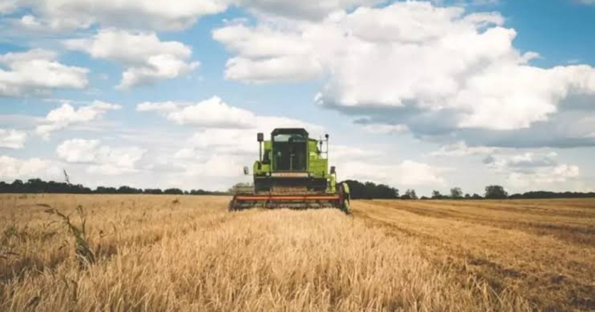 El agro argentino exportó casi 90 millones de toneladas en lo que va de 2026 y superó el máximo histórico de 2021