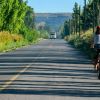 Imagen de Regina dio luz verde a la primera etapa de la bicisenda hacia la Isla 58: cuándo inicia y cómo será la obra de casi 6 kilómetros