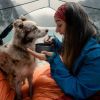 Imagen de Vacaciones VIP para perros y gatos: los destinos donde son tratados como huéspedes de lujo
