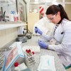 Imagen de Neuquén destina $13.192 millones a insumos para hospitales y laboratorios