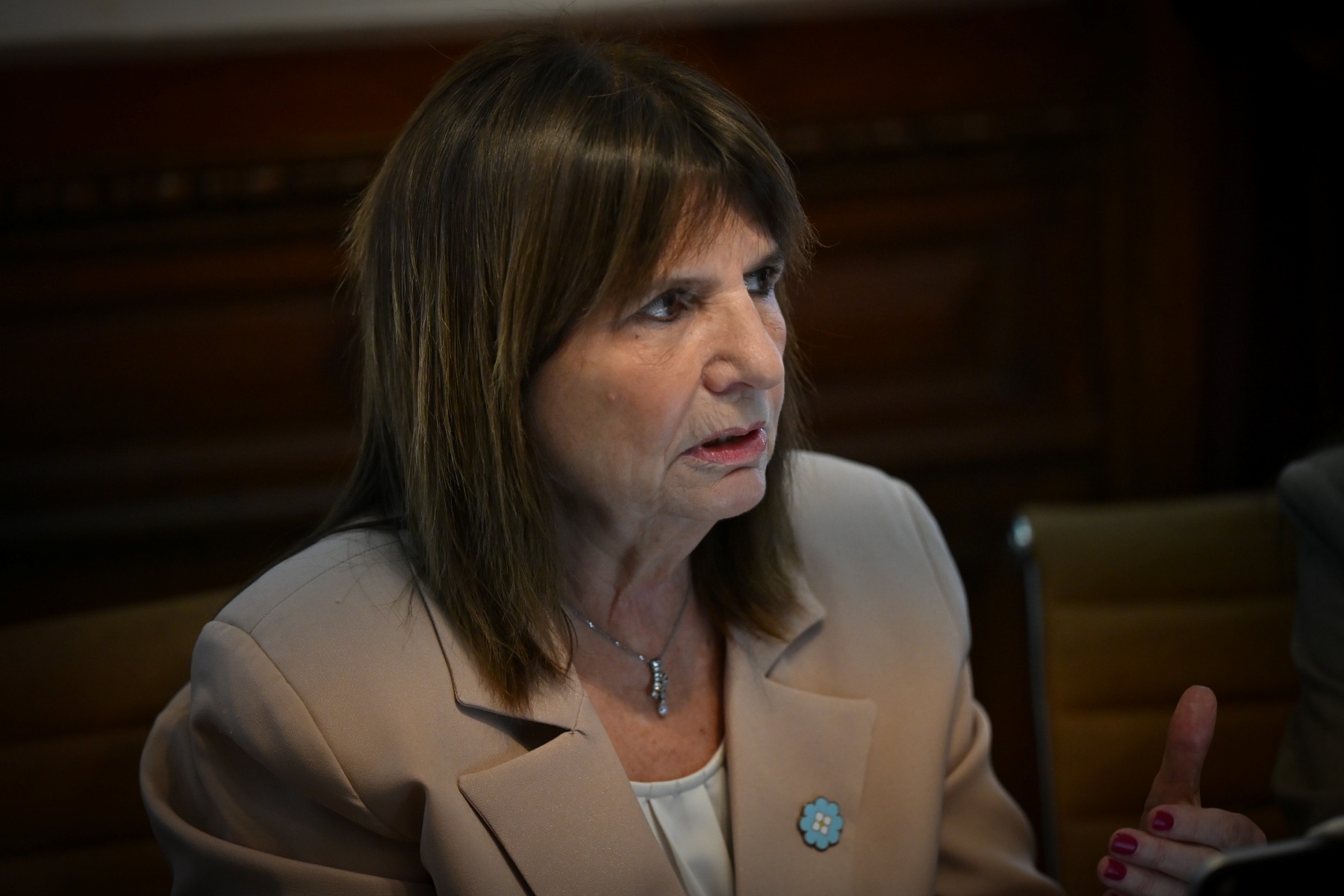 Patricia Bullrich lista para ser presidenta, pero espera su momento