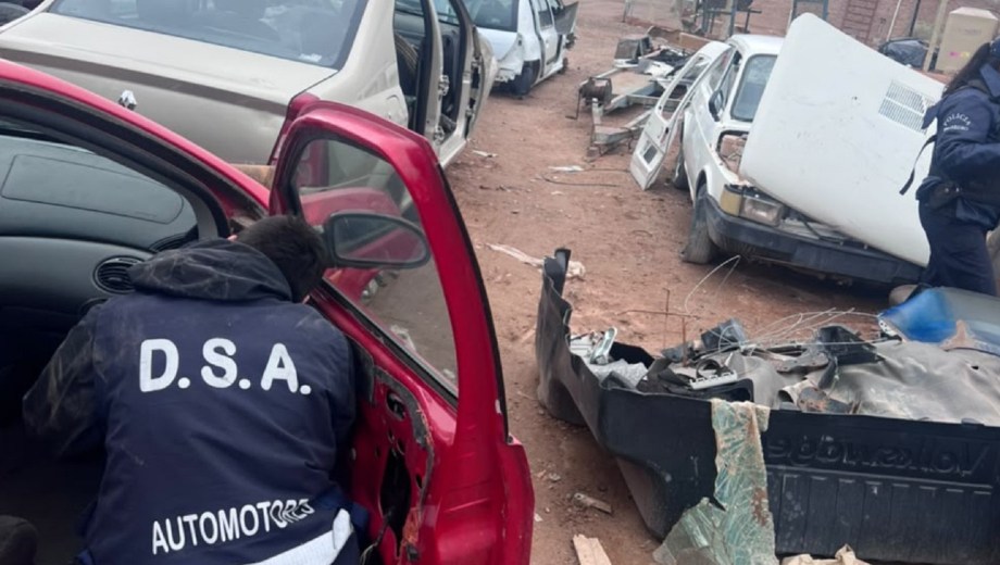 Desmantelan un desarmadero en Las Perlas: secuestran cinco vehículos robados, motores y autopartes