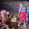 Imagen de Rescataron a una vaca a la vera de la Ruta 6: estuvo atrapada en un cañadón "por varias horas" luego de las intensas lluvias