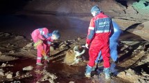 Imagen de Rescataron a una vaca a la vera de la Ruta 6: estuvo atrapada en un cañadón «por varias horas» luego de las intensas lluvias