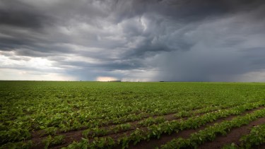 Efecto El Niño en Río Negro: por qué el pronóstico de lluvias extraordinarias ilusiona al campo
