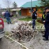 Imagen de Nahuel Huapi: frenaron una Hilux en la Ruta 40 y descubrieron una abultada carga de más de 150 astas de ciervo