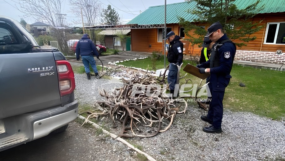 Foto: Policía de Neuquén. 