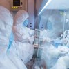 Imagen de "Causa desconocida": alerta en Rusia por la muerte de una empleada de un laboratorio que investigaba la peste