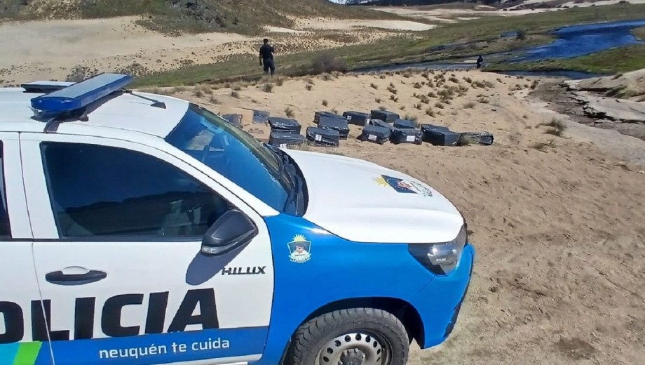 Golpe al contrabando en Neuquén: hallan un acopio clandestino de 25 cajas con mercadería en un paso cerca de la Ruta 23