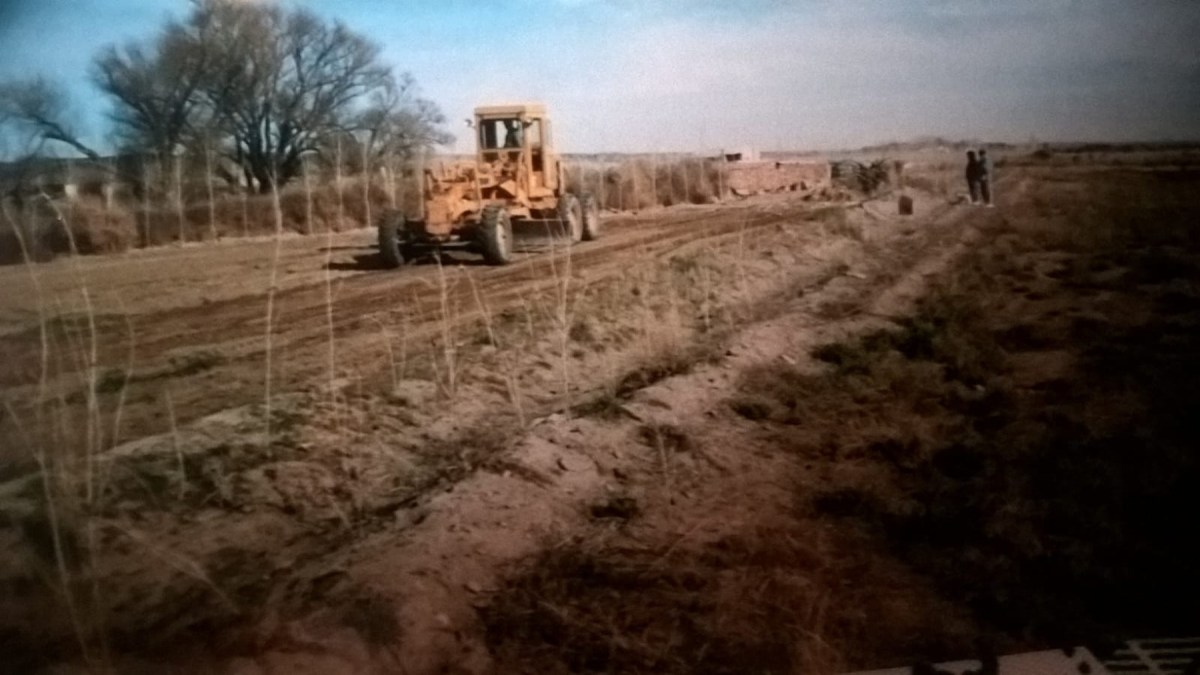 La chacra a comienzos de los 90: la colocación de álamos fue una de las primeras decisiones.