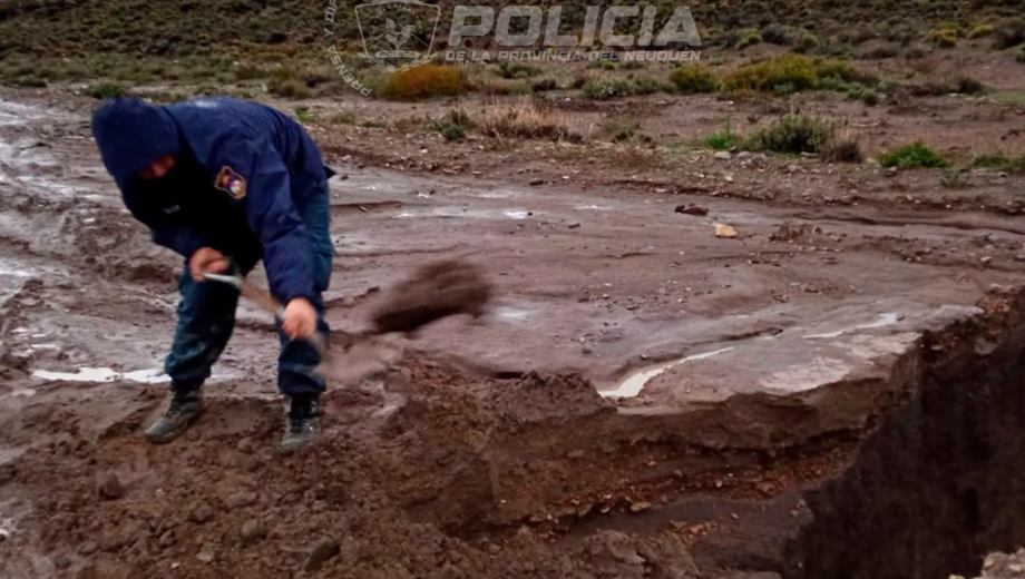 Foto: Policía de Neuquén.