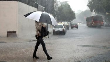 El mapa con las alertas que afectan a 15 provincias, cuatro de ellas en la Patagonia: tormenta, viento zonda, nieve y más
