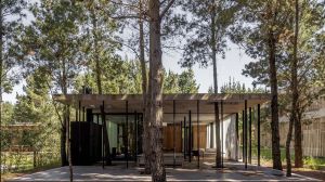 La casa con 100 pinos maravilla en un paraíso de la costa