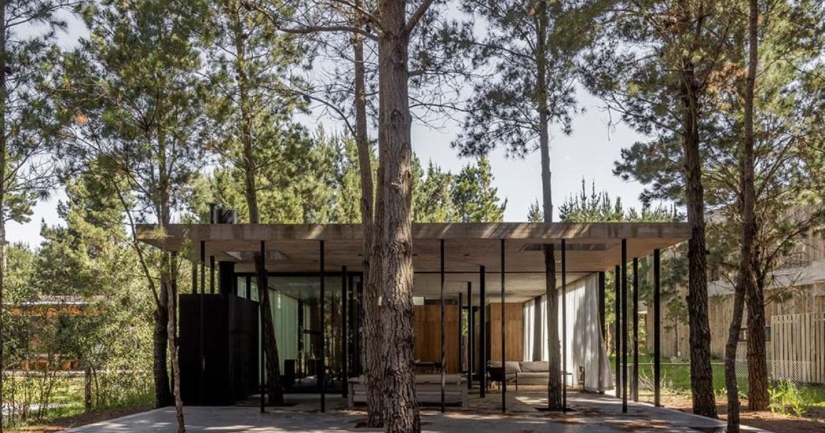 La casa con 100 pinos maravilla en un paraíso de la costa