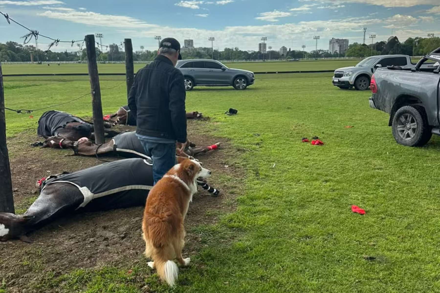 Un rayo causa la muerte de cuatro caballos en el Jockey Club de San Isidro